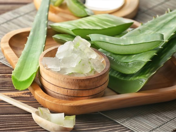 Aloe Vera – planta minune. Beneficii, proprietati si utilizari